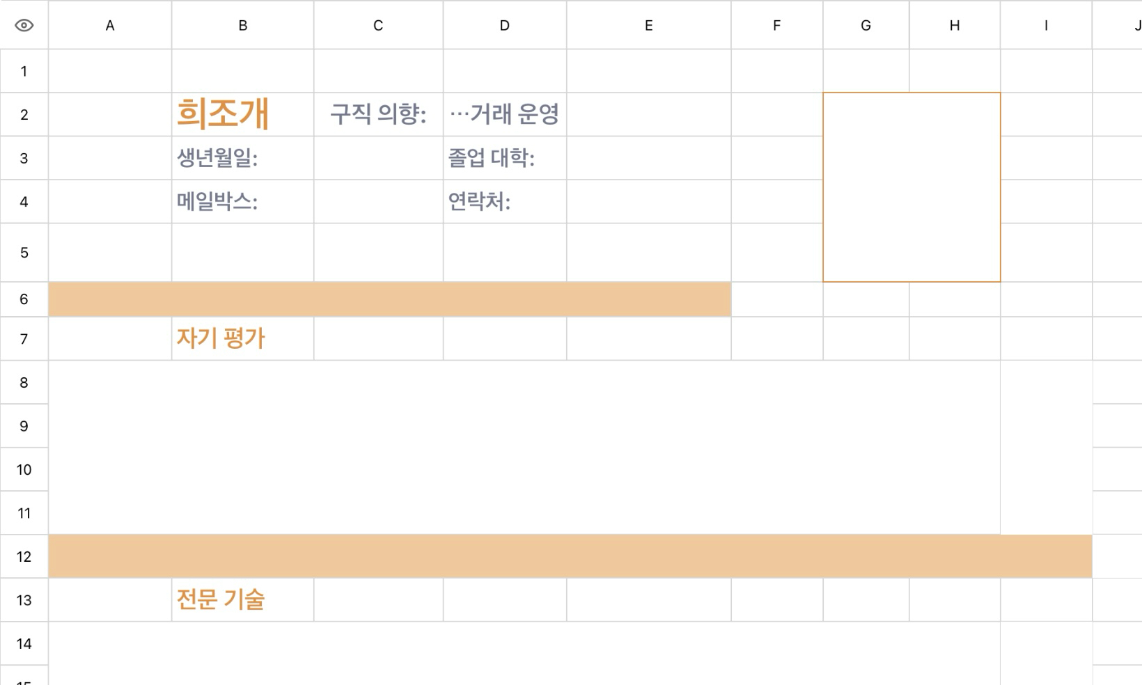 운영 담당자 이력서